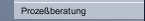 Proze&szlig;beratung